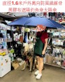 1e1.1_直徑1.6米戶外萬向防風纖維骨黑膠布遮陽釣魚傘太陽傘