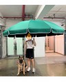1c1.1b_半徑48吋不鏽鋼中柱12骨 耐曬防水加密布 太陽傘(現貨)